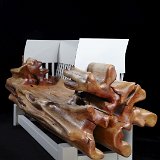 Mosquito_bench_03.jpg