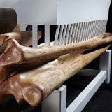 Mosquito_bench_04.jpg